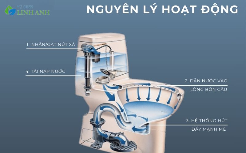 Giải Mã Từ A-Z: Cấu Tạo và Nguyên Lý Hoạt Động Của Bồn Cầu 