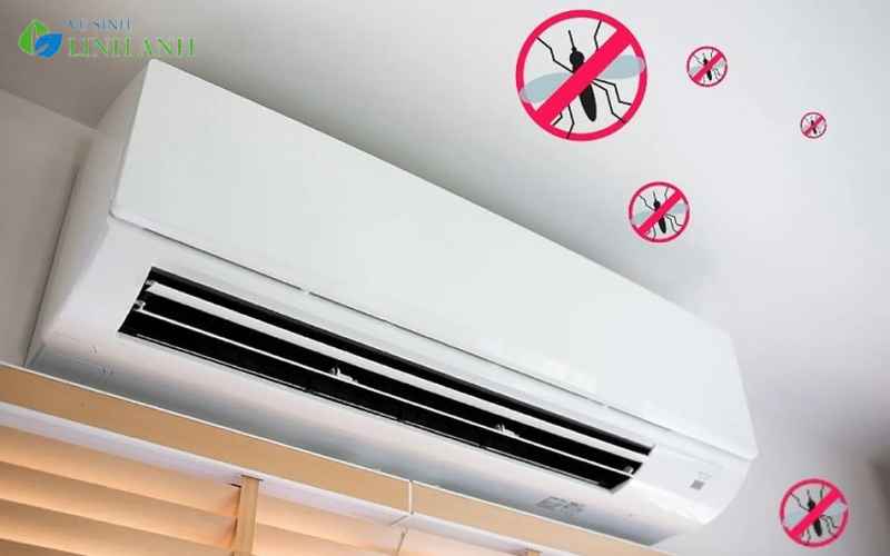 Top 10 Cách Đuổi Muỗi Trong Phòng Máy Lạnh Hiệu Quả Và An Toàn 